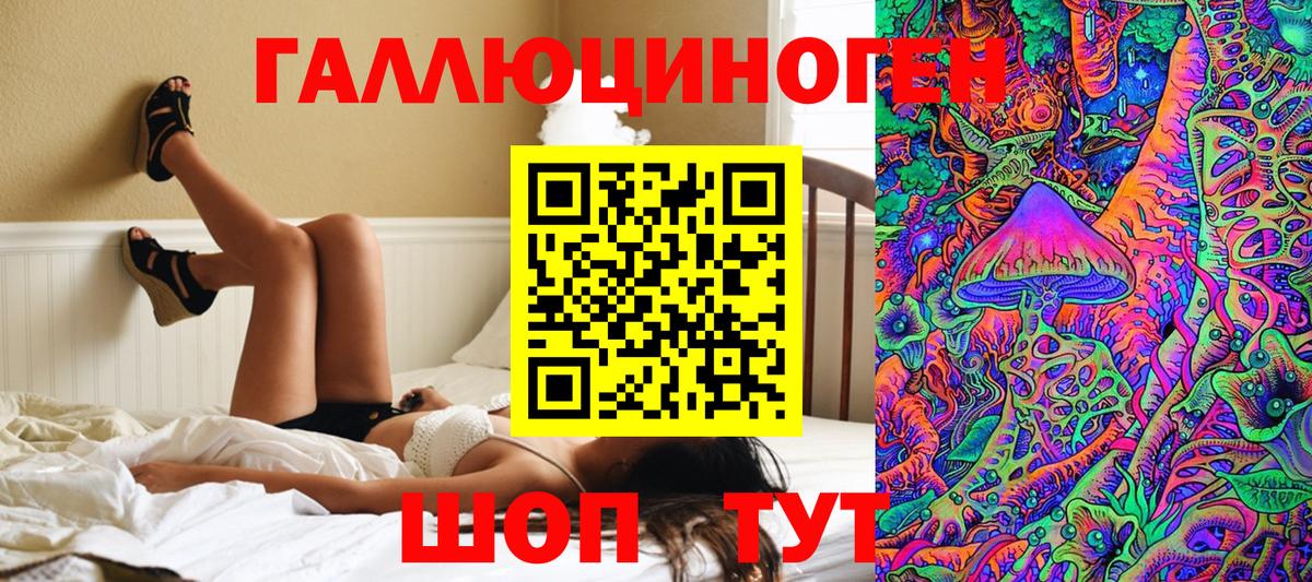 Псилоцибиновые грибы Cubensis Сухой Лог